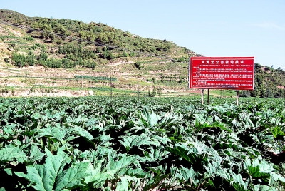 崲���ũҵ���÷�չ�ſ�